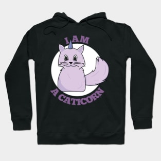 animal, animals, cat, caticorn, cats, feline, Hoodie